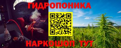 дмт Пенза