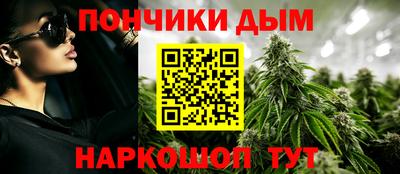 дмт Пенза