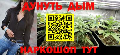 прущие крисы Партизанск