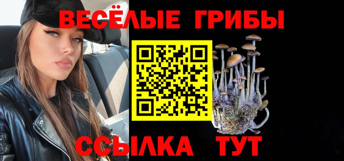 Галлюциногенные грибы мицелий  Вход с VPN  Тольятти 